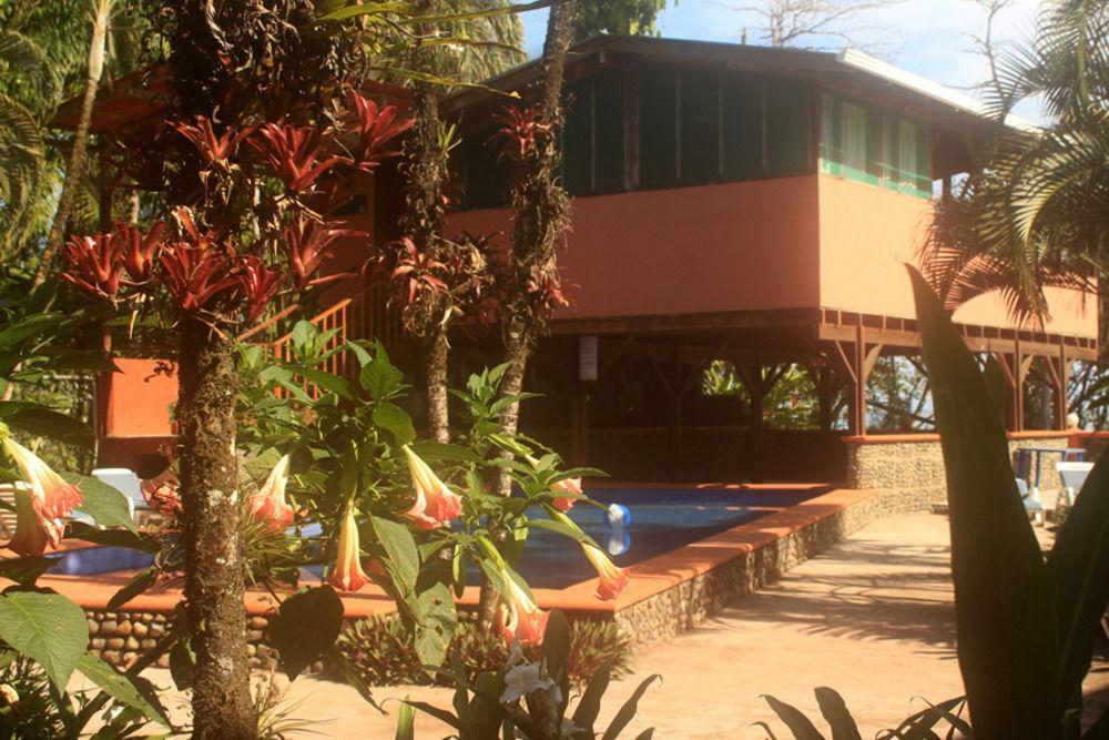 Perla Negra 호텔 Puerto Viejo de Talamanca 외부 사진